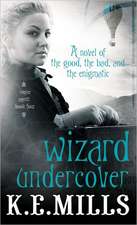 Wizard Undercover