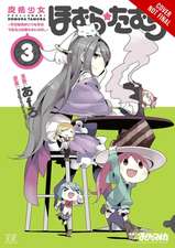 Puella Magi Homura Tamura, Vol. 3: ~Parallel Worlds Do Not Remain Parallel Forever~