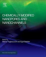 Chemically Modified Nanopores and Nanochannels