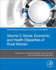 Healthcare Strategies and Planning for Social Inclusion and Development: Volume 2: Social, Economic, and Health Disparities of Rural Women