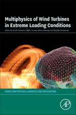 Multiphysics of Wind Turbines in Extreme Loading Conditions