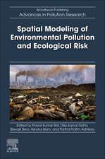 Spatial Modeling of Environmental Pollution and Ecological Risk