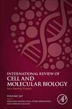 New Antibody Formats