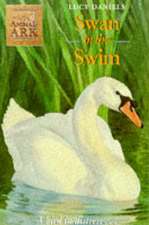 Swan In The Swim