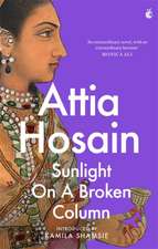 Hosain, A: Sunlight on a Broken Column