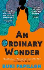 An Ordinary Wonder 