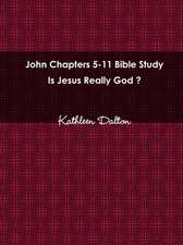 John Chapters 5-11 Bible Study Is Jesus Really God?