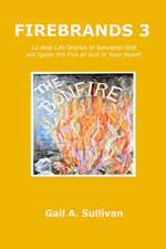 FIREBRANDS 3 ~ 12 Real Life Stories of Salvation that will Ignite the Fire of God in Your Heart!