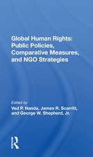 Global Human Rights: Public Policies, Comparative Measures, And Ngo Strategies