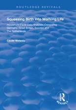 Squeezing Birth into Working Life: Household Panel Data Analyses Comparing Germany, Great Britain, Sweden and The Netherlands