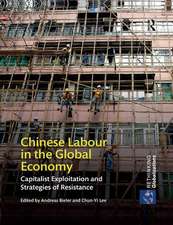 Chinese Labour in the Global Economy: Capitalist Exploitation and Strategies of Resistance