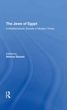 The Jews of Egypt: A Mediterranean Society In Modern Times