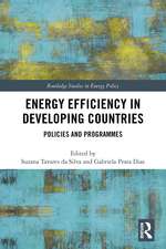 Energy Efficiency in Developing Countries: Policies and Programmes