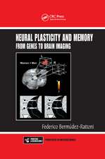 Neural Plasticity and Memory: From Genes to Brain Imaging