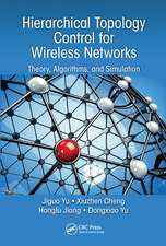 Hierarchical Topology Control for Wireless Networks: Theory, Algorithms, and Simulation