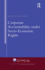 Corporate Accountability under Socio-Economic Rights