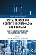 Social Bridges and Contexts in Criminology and Sociology