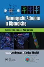 Nanomagnetic Actuation in Biomedicine: Basic Principles and Applications