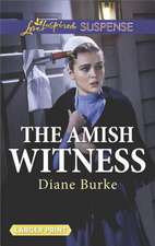 The Amish Witness