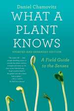 What a Plant Knows