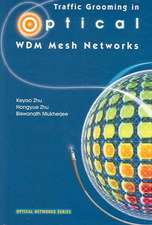 Traffic Grooming in Optical WDM Mesh Networks