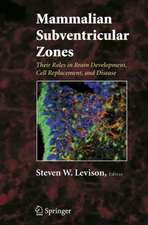 Mammalian Subventricular Zones: Their Roles in Brain Development, Cell Replacement, and Disease