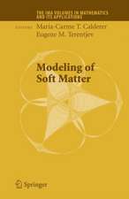 Modeling of Soft Matter