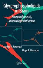 Glycerophospholipids in the Brain: Phospholipases A2 in Neurological Disorders