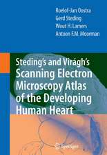 Steding's and Virágh's Scanning Electron Microscopy Atlas of the Developing Human Heart