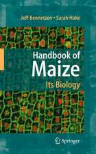 Handbook of Maize: Its Biology