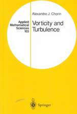 Vorticity and Turbulence