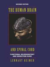 The Human Brain and Spinal Cord: Functional Neuroanatomy and Dissection Guide