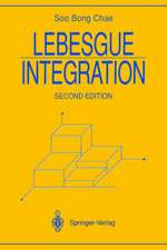 Lebesgue Integration