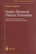 Spatio-Temporal Pattern Formation: With Examples from Physics, Chemistry, and Materials Science