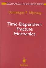 Time-Dependent Fracture Mechanics