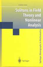 Solitons in Field Theory and Nonlinear Analysis