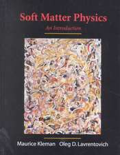 Soft Matter Physics: An Introduction