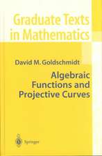 Algebraic Functions and Projective Curves