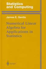 Numerical Linear Algebra for Applications in Statistics