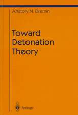 Toward Detonation Theory