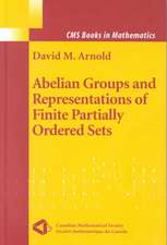 Abelian Groups and Representations of Finite Partially Ordered Sets