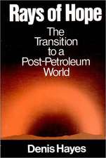 Rays of Hope – The Transition to a Post–Petroleum World