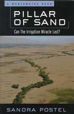 Pillar of Sand – Can the Irrigation Miracle Last?