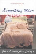 Something Blue – A Novel