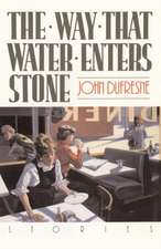 The Way That Water Enters Stone – Stories