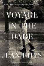 Voyage in the Dark – A Novel