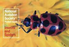 National Audubon Society Pocket Guide to Familiar Insects and Spiders