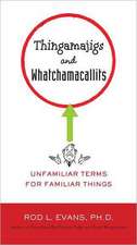 Thingamajigs and Whatchamacallits: Unfamiliar Terms for Familiar Things