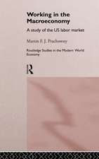 Working in the Macro Economy: A study of the US Labor Market