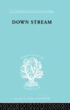 Down Stream: Failure in the Grammar School